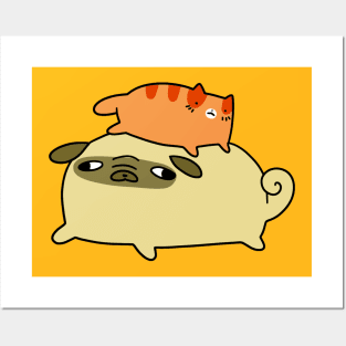 Little Orange Tabby and Pug Posters and Art